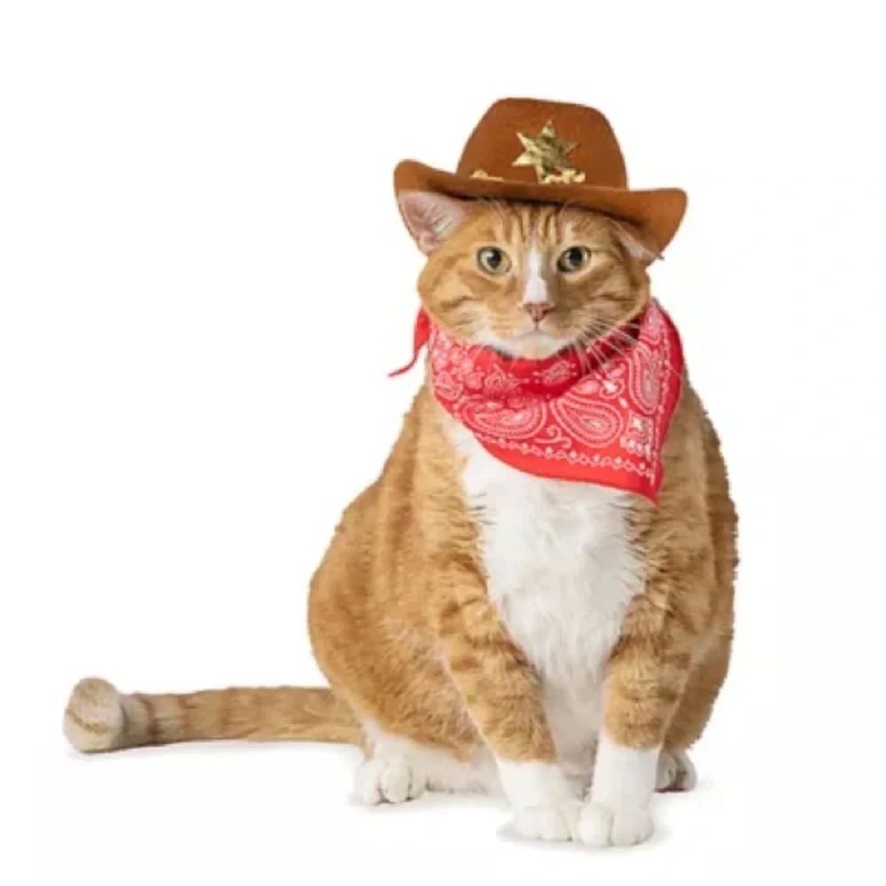 PetSmart Thrills & Chills Cowboy Hat Bandana Dog Cat Costume L/XL